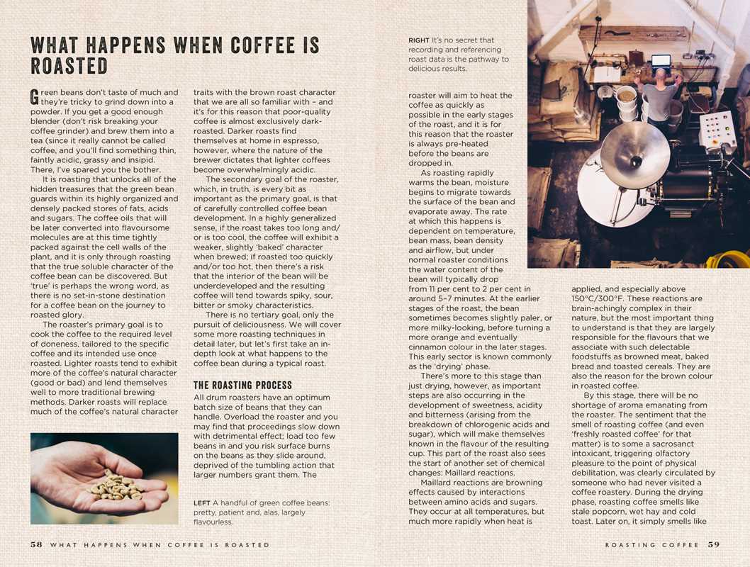 Curious Barista's Guide to Coffee Book by Tristan Stephenson