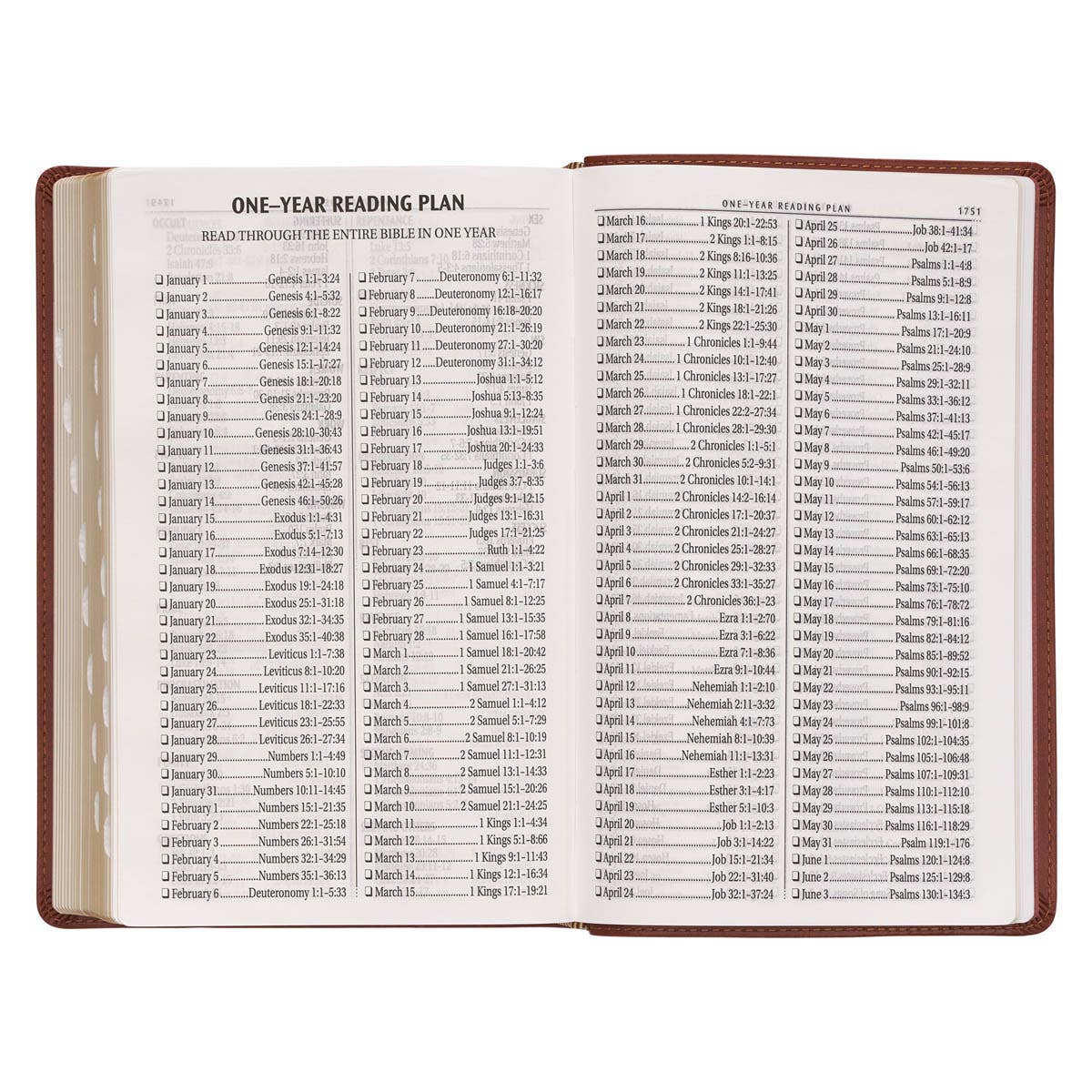 KJV Bible Giant Print Standard-size Faux Leather, Saddle Tan Book