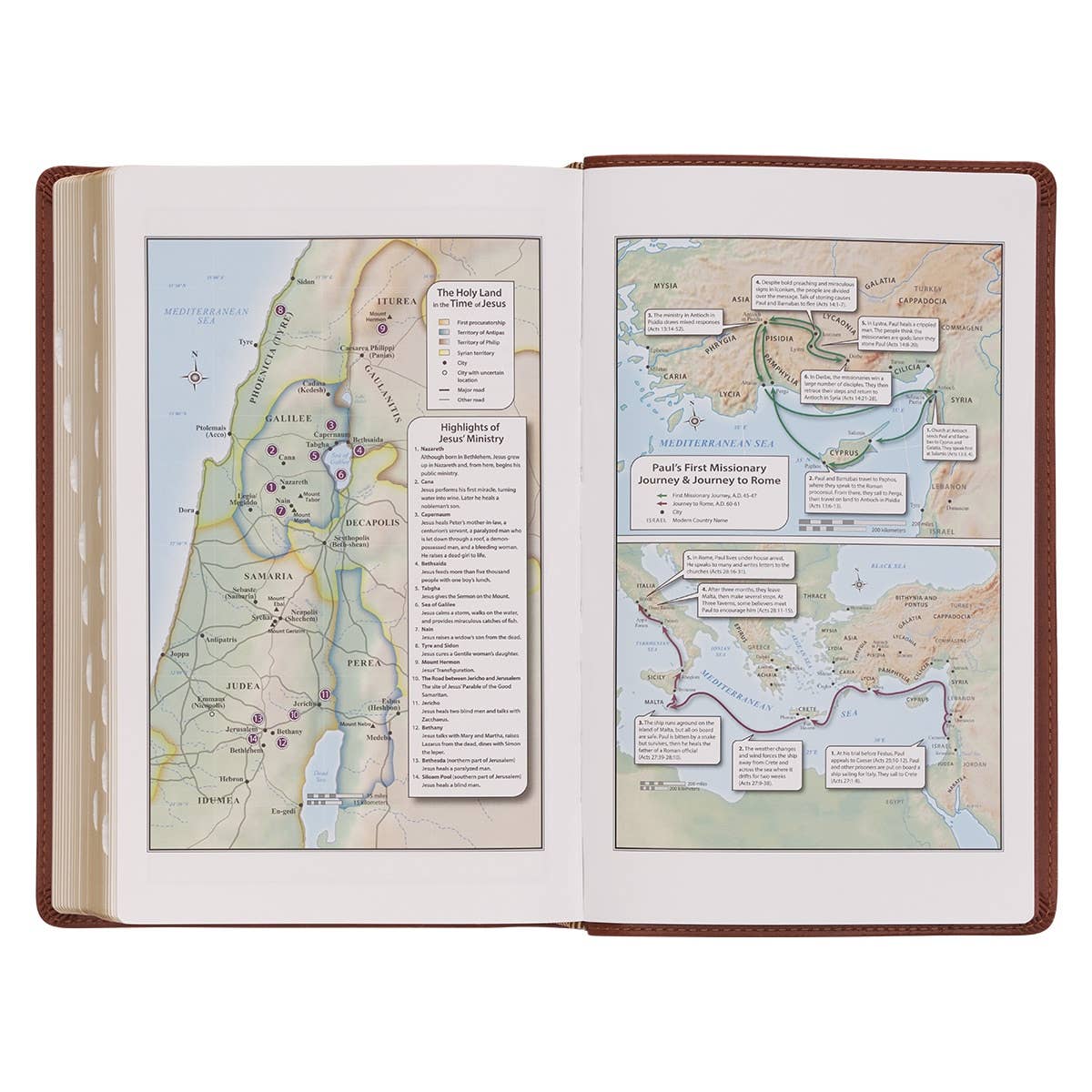 KJV Bible Giant Print Standard-size Faux Leather, Saddle Tan Book